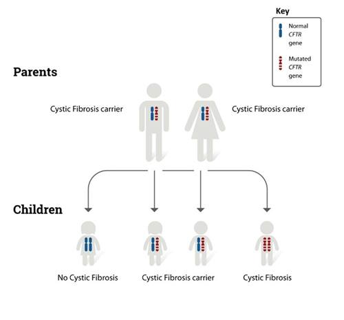 diagram explaining the genetics of cystic fibrosis