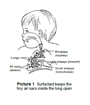 Surfactant keeps the tiny air sacs inside the lung open