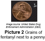 Image shows a grain of fentanyl next to a penny.