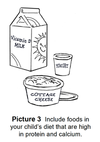 Include foods in your child’s diet that are high in protein and calcium