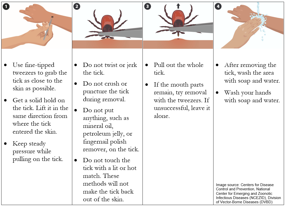 Directions for removing a tick