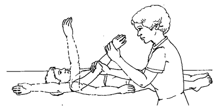 Exercises-Arms and Hands (Passive)