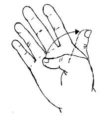 Exercises-Arms and Hands (Passive)