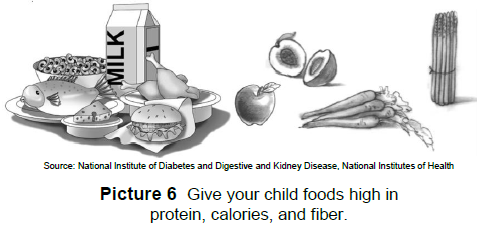 Foods high in fiber, protein, calories, and fiber