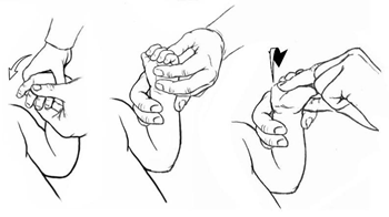 Wrist Flexion and Extension