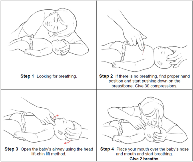 diagram of heart and lungs inside the body