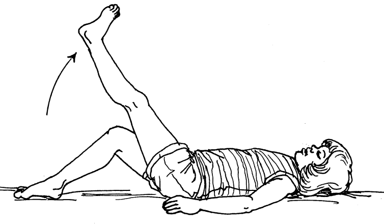 Exercises: Lower Extremities (Active)