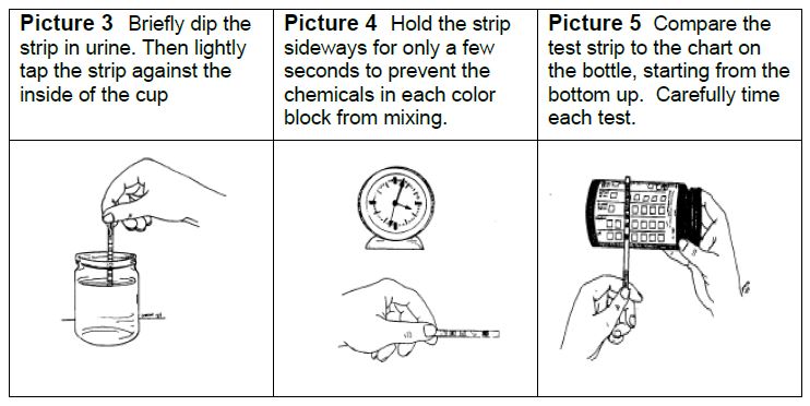 Urine dip test instructions