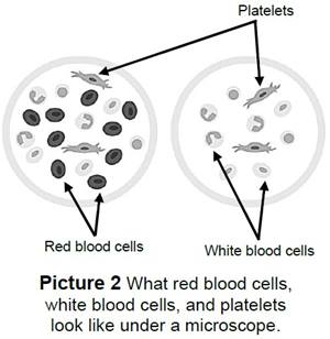 washing and rinsing hands with soap