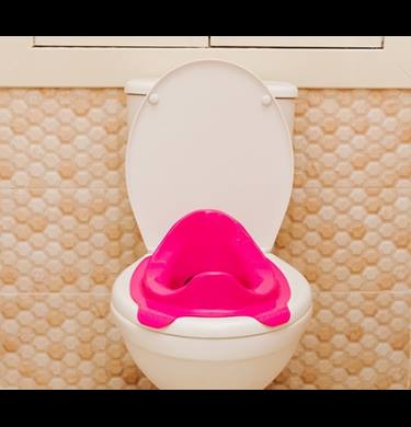 Pink potty seat on a toilet