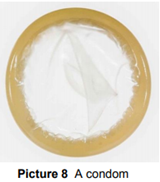 Condom