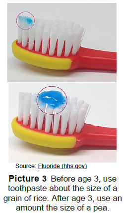 Before age 3, use toothpaste about the size of a grain of rice. After age 3, use an amount the size of a pea.