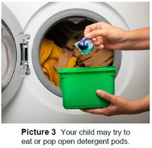 How to poison proof your house