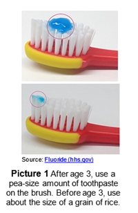 After age 3, use a pea-size amount of toothpaste on the brush. Before age 3, use about the size of a grain of rice.