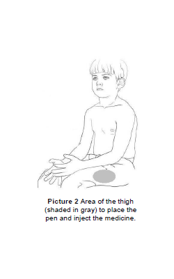 picture of where epipen should be administered