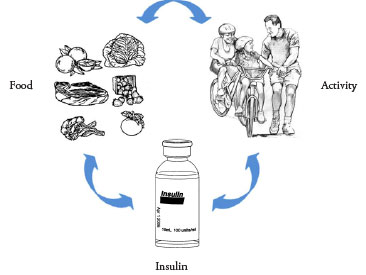 depiction of the circular relation of food, activity, and insulin