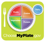 Balanced plate with proper servings 