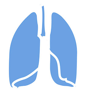 Seasonal Illness Wayfinding Image