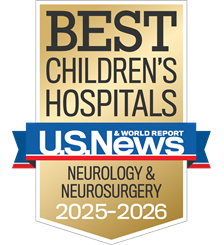 US News Badge Neurology and Neurosurgery