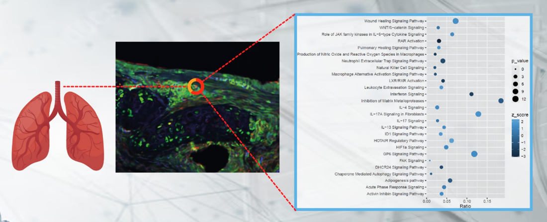 Integrative computational analysis being used to dissect cell types and gene expression profiles 