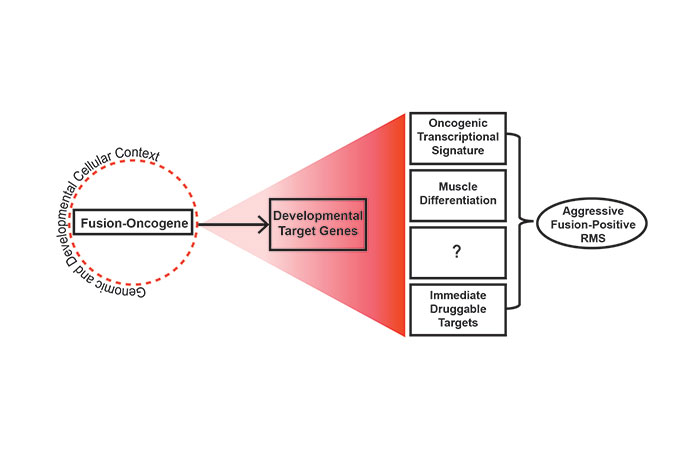 Kendall Lab Research Project