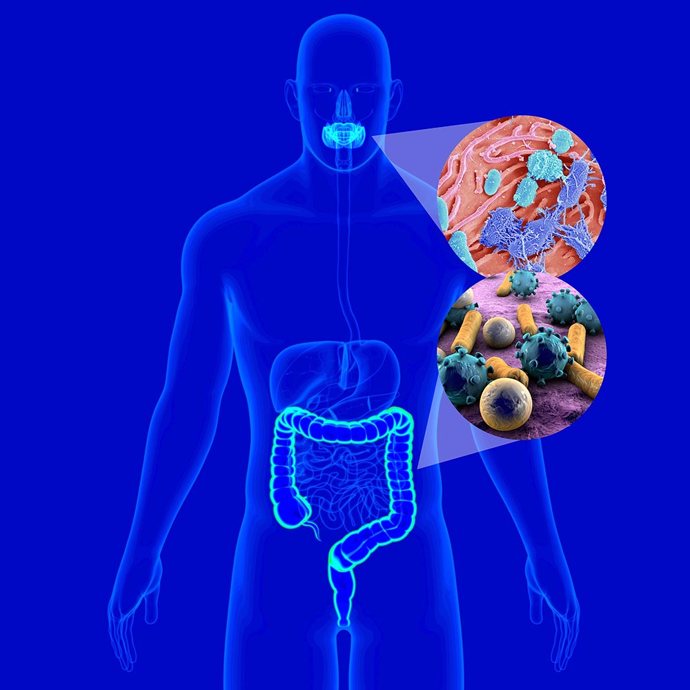 Oral-GI Research Affinity Group