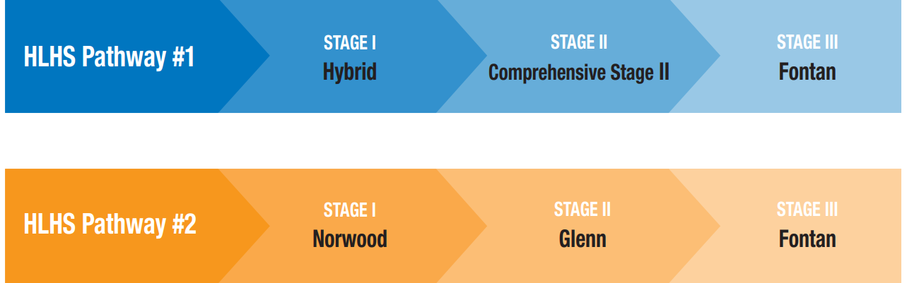 Outline of the two treatment pathways for a hypoplastic left heart syndrome defect