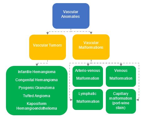 vascular anomalies chart
