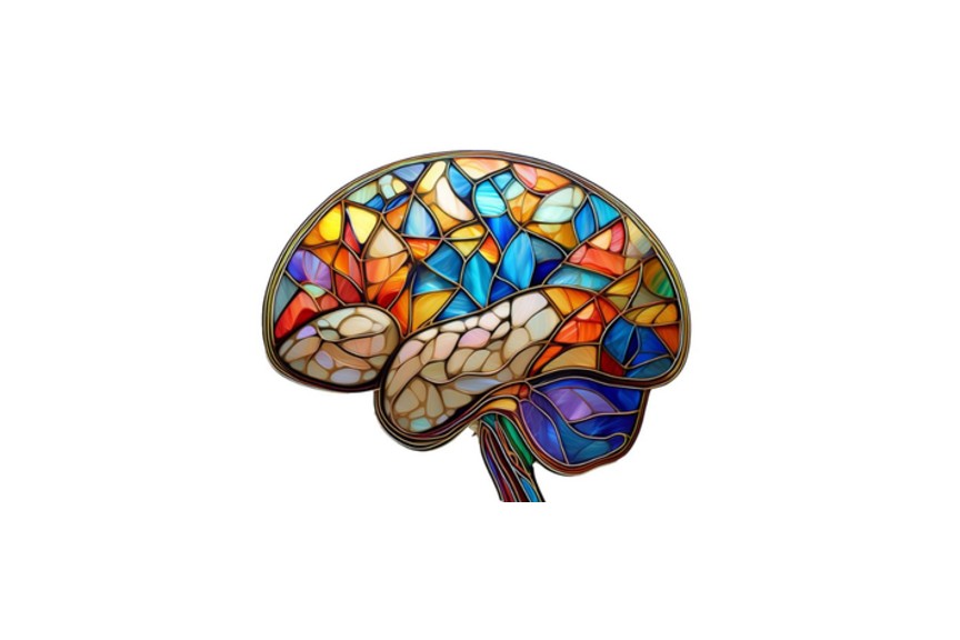 Stained-glass style illustration of a human brain in vibrant colors.